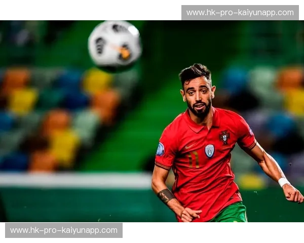 积分榜葡萄牙队：从数据到荣耀的全景解读